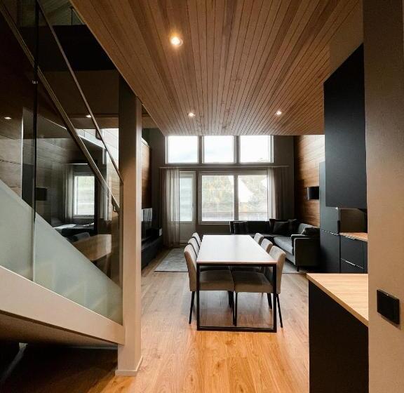 Levin Kunkku B Penthouse