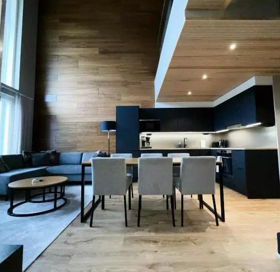 Levin Kunkku B Penthouse