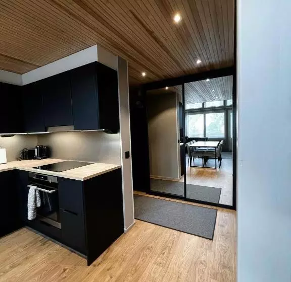 Levin Kunkku B Penthouse