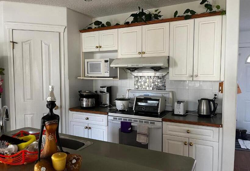 پانسیون Hidden Valley Treehouse Home!