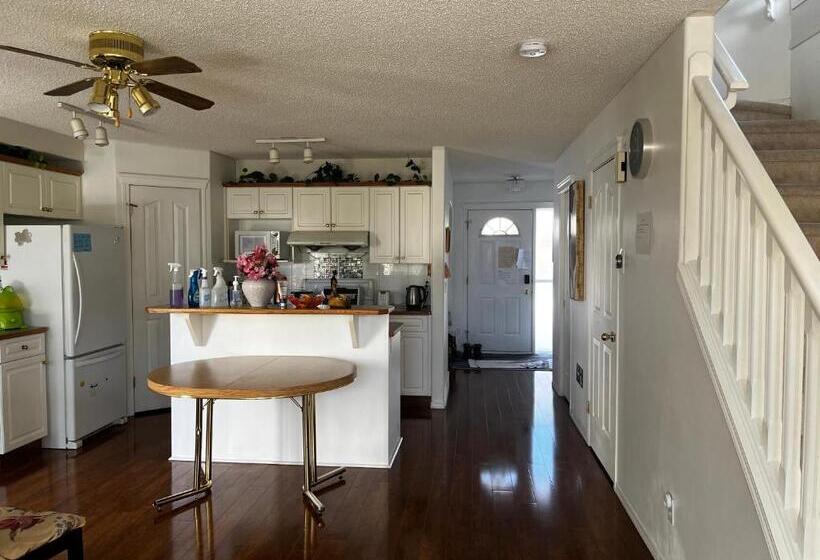 پانسیون Hidden Valley Treehouse Home!