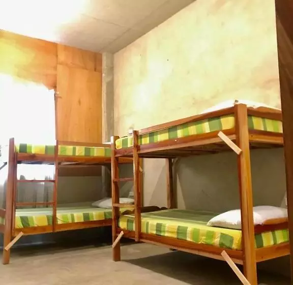 Sharky Hostel Oslob