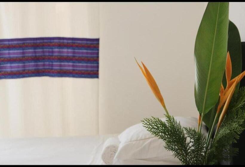 Pension Room In Guest Room   Apartment With Blacony And Sea View