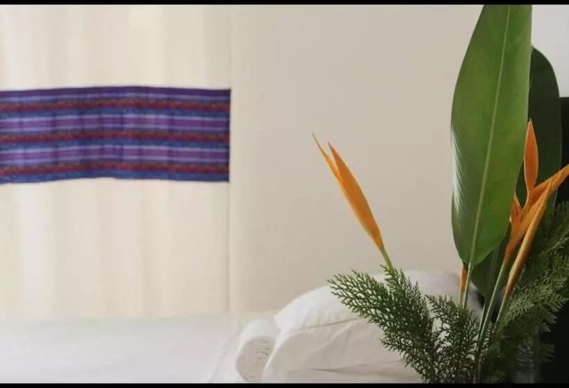 ペンション Room In Guest Room Apartment With Blacony And Sea View