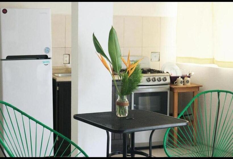 Pension Room In Guest Room   Apartment With Blacony And Sea View