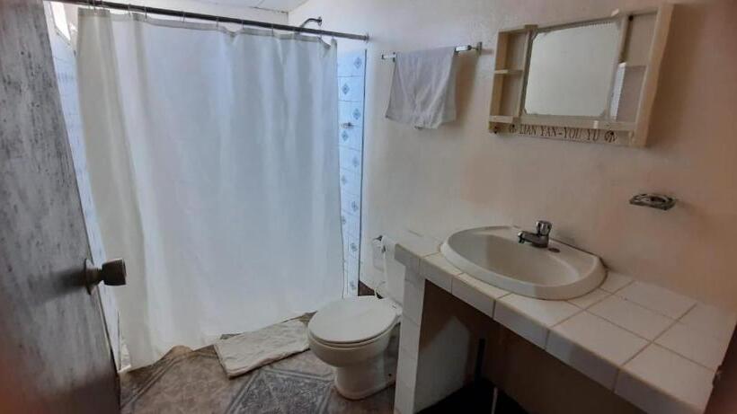 بنسيون Tropical Dreams Hostel