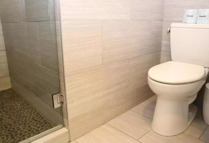 Charming & Stylish Studio On Beacon Hill #8