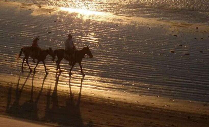 酒店 La Maison Blanche