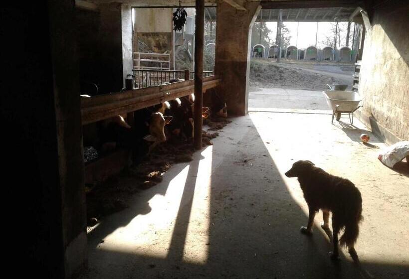 Отель Kreuzdellenhof Ferienzimmer