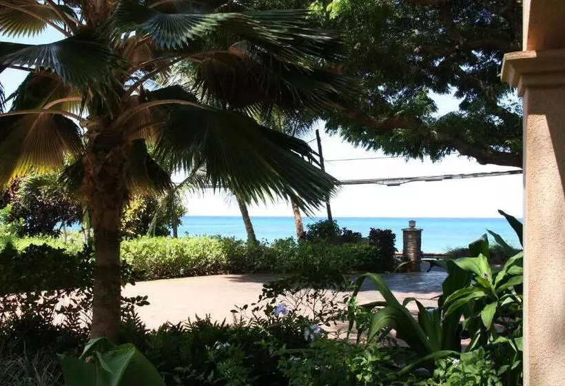 Maui Beach House B & B