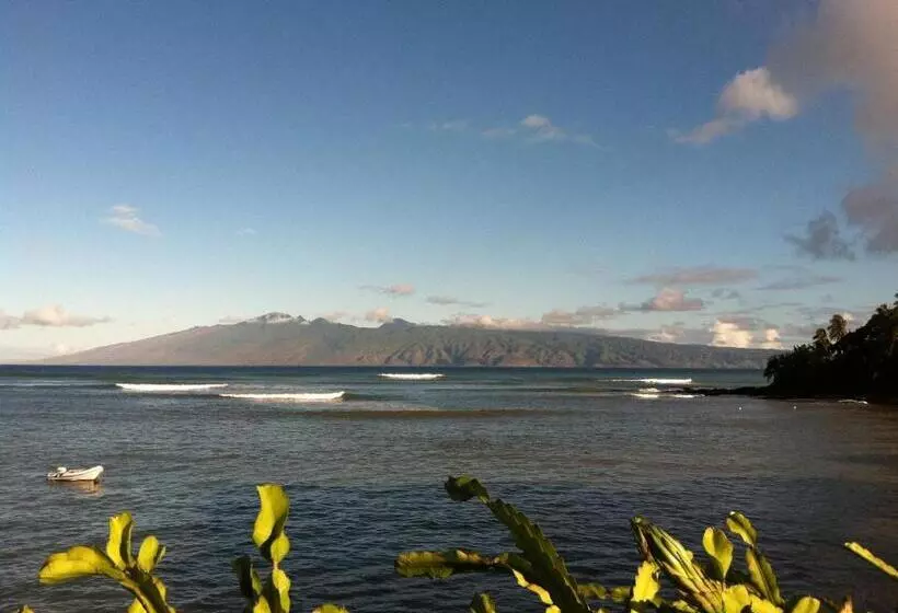 Maui Beach House B & B