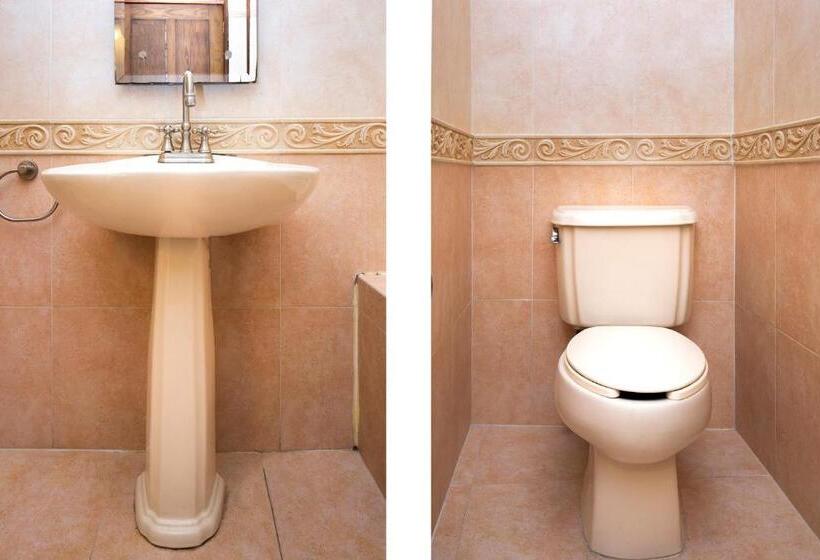 فندق Casa Del Virrey & Suites