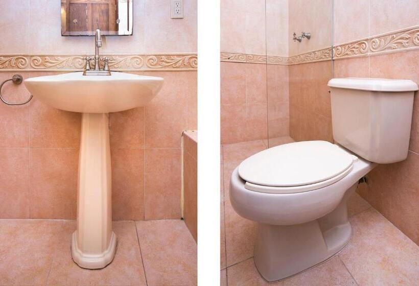 فندق Casa Del Virrey & Suites