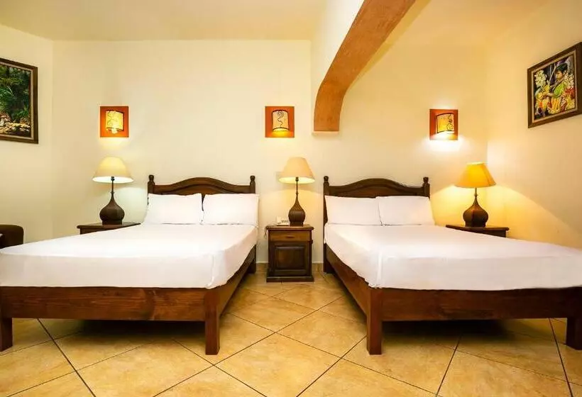 ホテル Casa Del Virrey & Suites