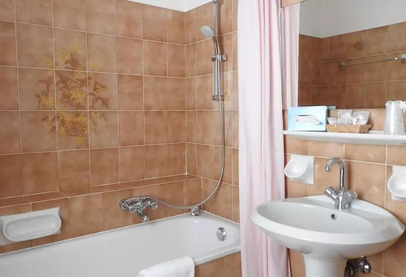 בית מלון כפרי Des Alpes