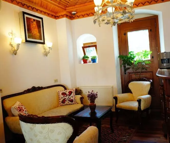 فندق Des Etrangers Special Category