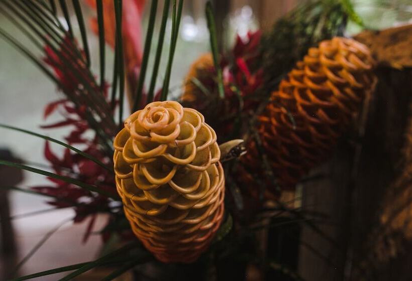 호텔 Hamadryade Lodge