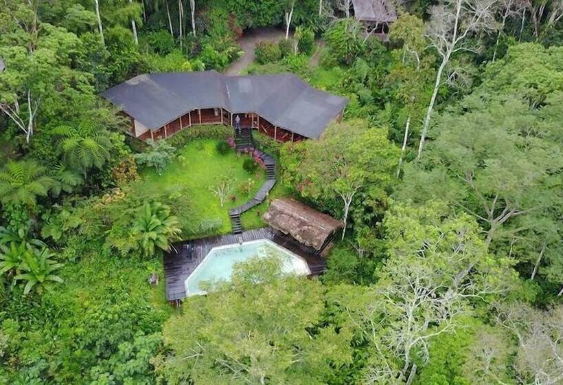 호텔 Hamadryade Lodge