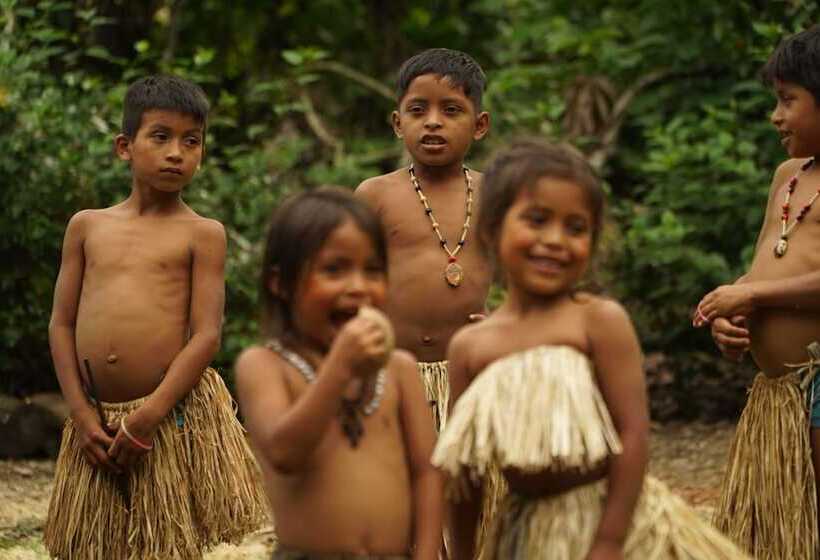 호텔 Hamadryade Lodge