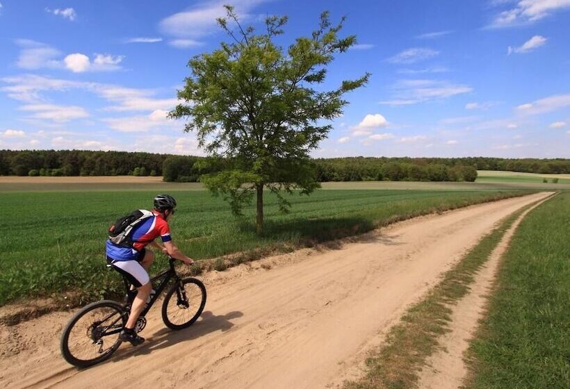 Отель Restaurant Ruimzicht