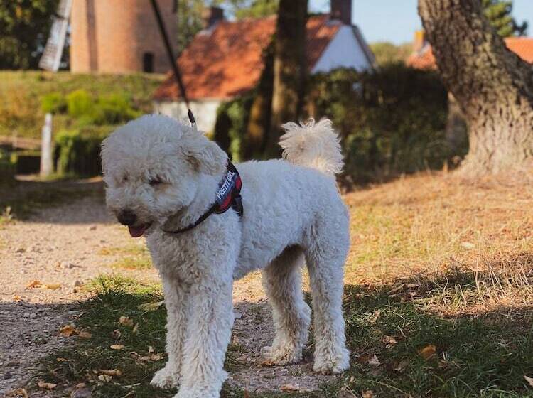 Отель Restaurant Ruimzicht