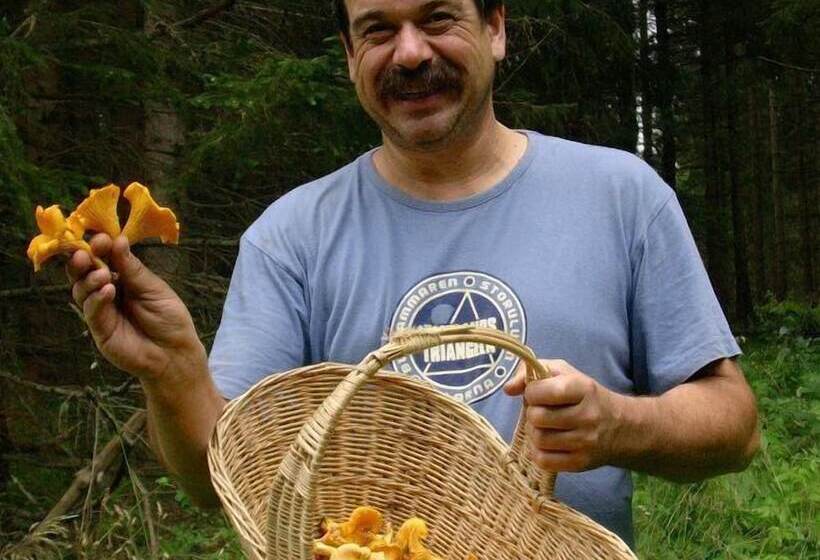 هتل Sikfors Herrgård