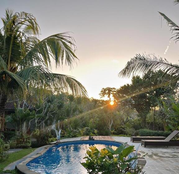 פנסיון Adi S Bungalow