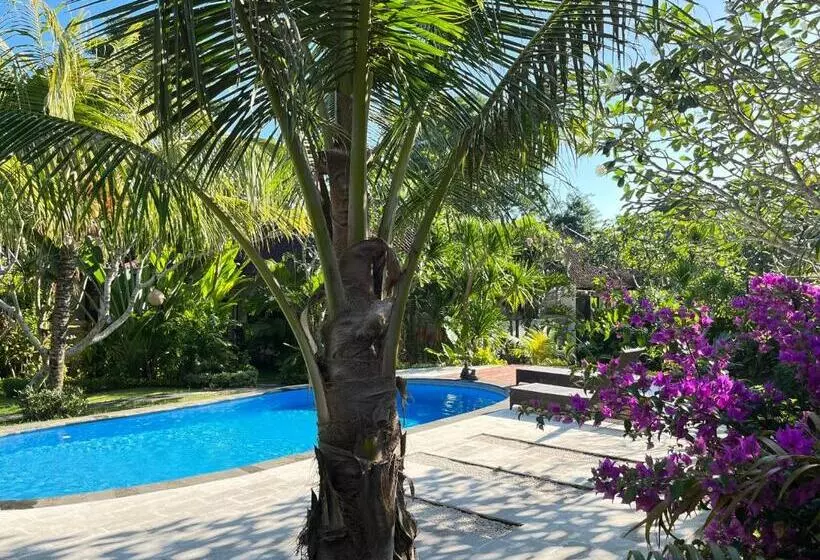 پانسیون Adi S Bungalow