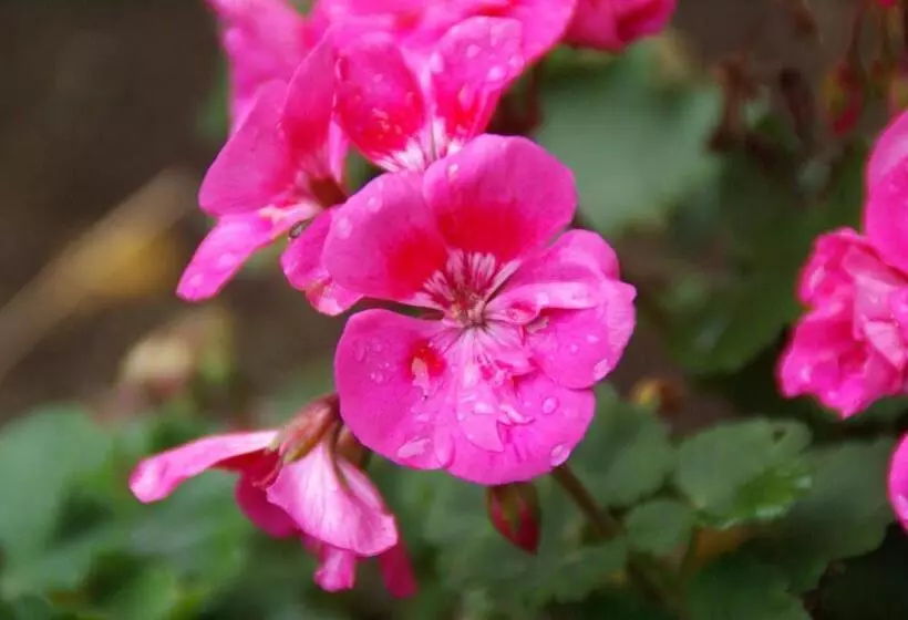 ホテル Hôtel Des Deux Mers