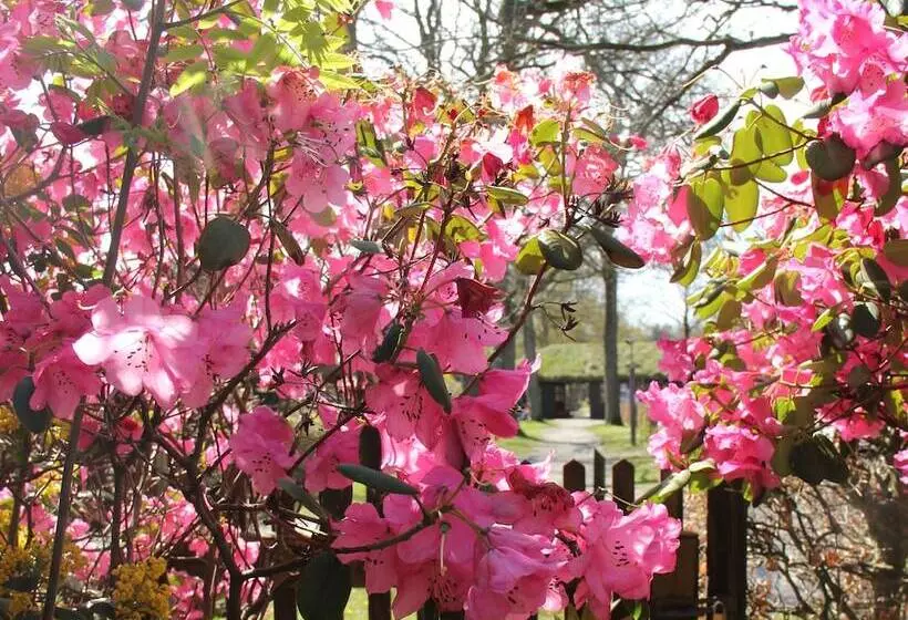 ホテル Kolding Sportel