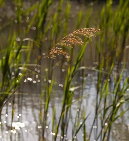 فندق La Tramontane