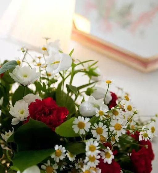 فندق La Tramontane