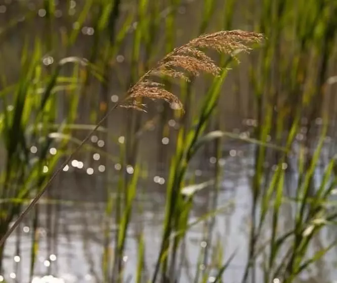 فندق La Tramontane