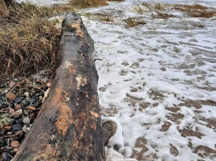 酒店 Schlossgut Gross Schwansee