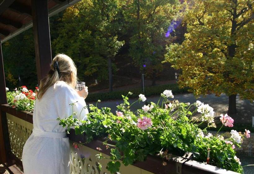 Kurhotel Bad Suderode