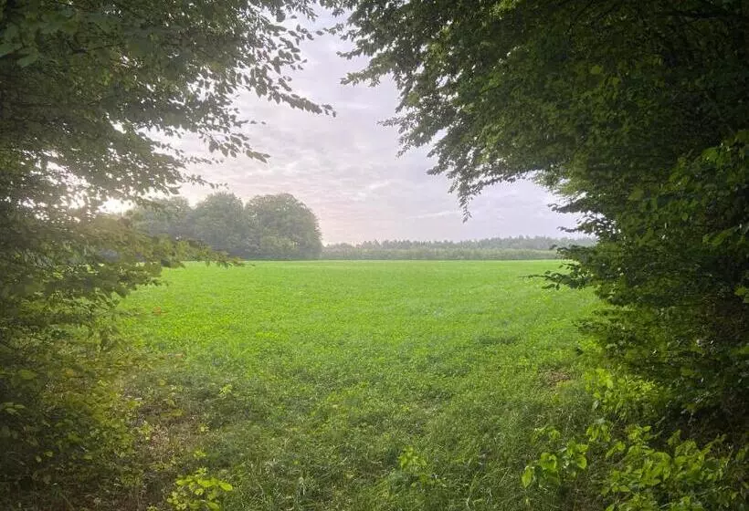 Мотель K 357 Low Budget Hotel Ostsee Lounge In Ratekau Bei Lübeck