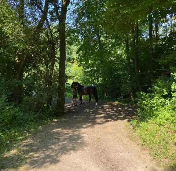 Мотель K 357 Low Budget Hotel Ostsee Lounge In Ratekau Bei Lübeck