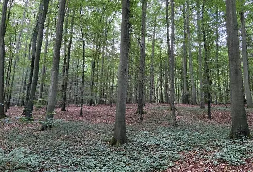 Мотель K 357 Low Budget Hotel Ostsee Lounge In Ratekau Bei Lübeck