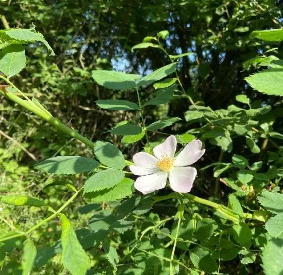 Мотель K 357 Low Budget Hotel Ostsee Lounge In Ratekau Bei Lübeck