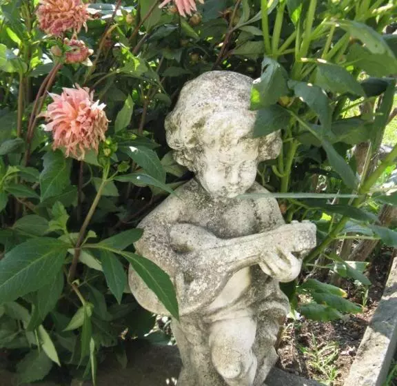 هتل Albergo Del Lago