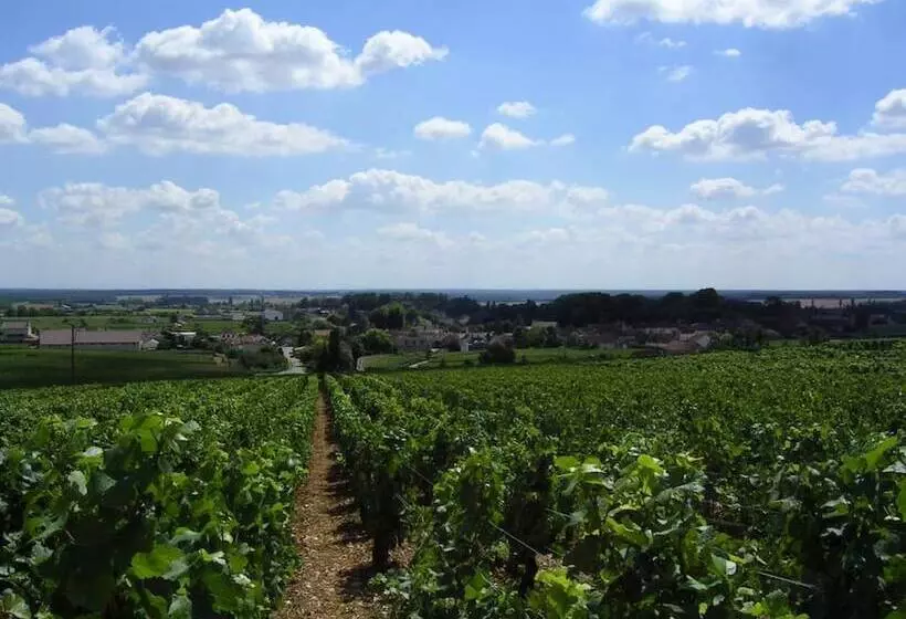 酒店 L Orée Des Vignes