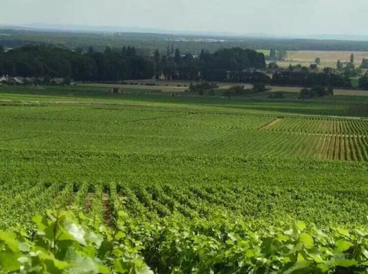 酒店 L Orée Des Vignes