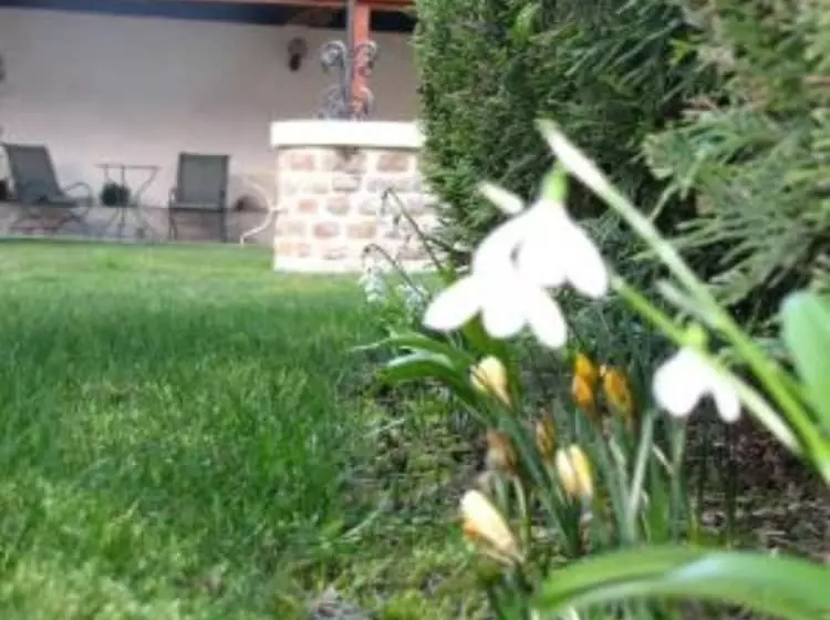 酒店 L Orée Des Vignes