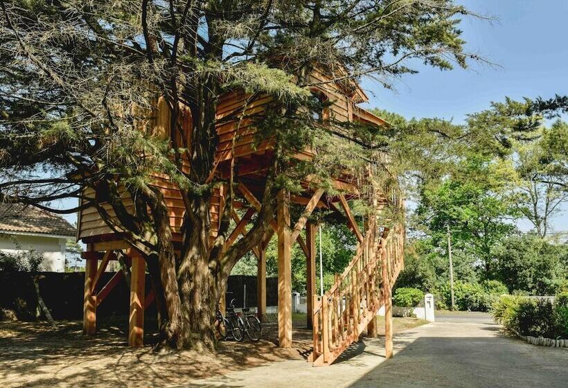 Отель Logis Hôtel Emeraude Des Bois