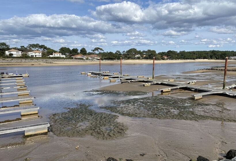 Отель Logis Hôtel Emeraude Des Bois