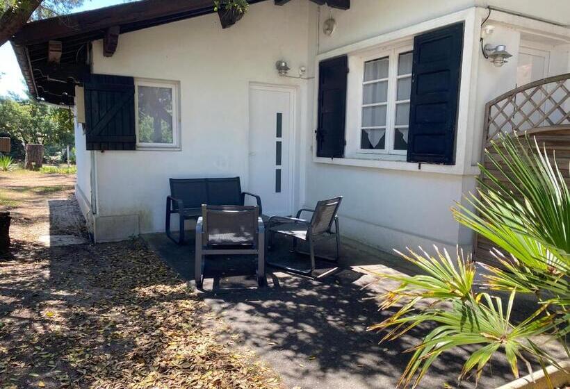 Отель Logis Hôtel Emeraude Des Bois