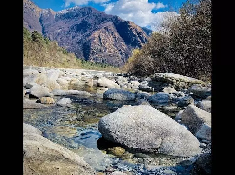 ホテル Millennium