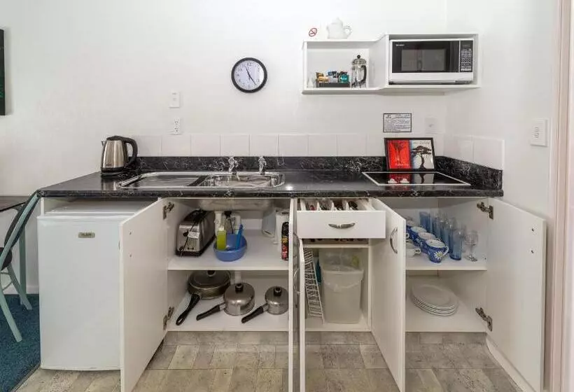 هتل Palm Court Motor Inn