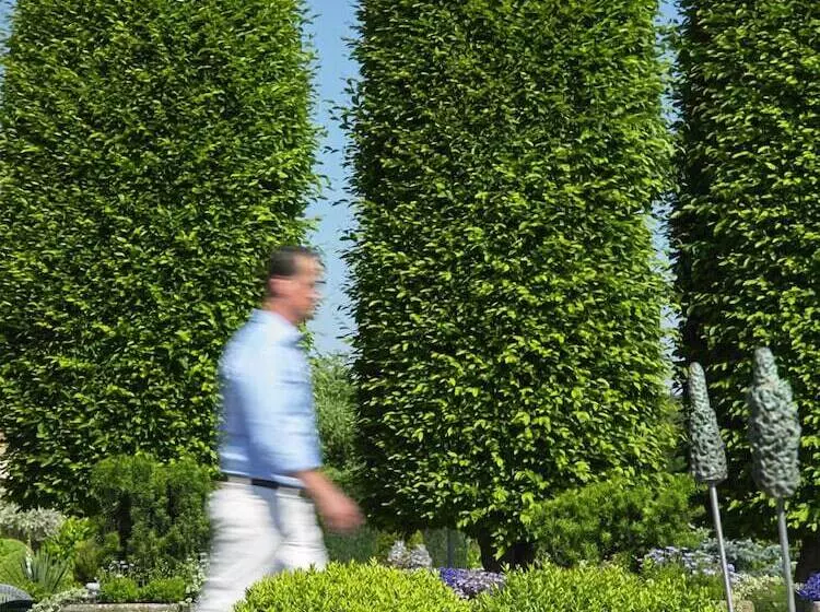 Romantik Parkhotel Het Gulpdal