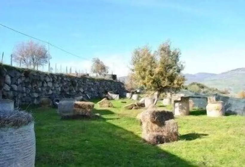 Отель Borgo San Nicolao